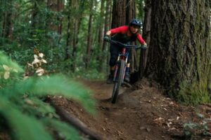 Alternative view of אופני שטח IBIS RIPLEY 29 XT KIT