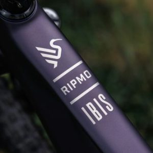 Alternative view of אופני שטח IBIS RIPMO V3 29 XO-T