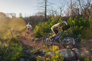 Alternative view of אופני שטח EXIE גודל 29 דגם GX מבית IBIS