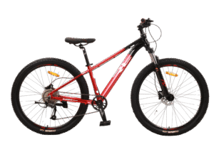 Alternative view of אופני הרים לילדים “RL LUIGI 9 – 27.5