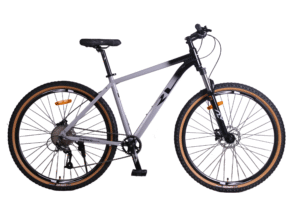 אופני הרים ״29 RL LUIGI 9