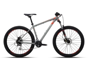 אופני הרים Polygon Premier 4 29