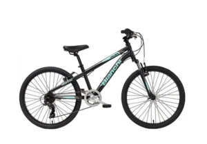 Alternative view of אופני ילדים Bianchi Dual 24 - אפור