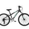 אופני ילדים Bianchi Dual 24 - אפור