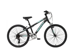אופני ילדים Bianchi Dual 24 - אפור