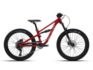 אופני ילדים POLYGON SISKIU D24