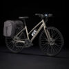 Trek FX 1 Stagger Disc 2022