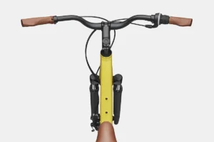 Cannondale Adventure 2