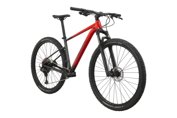 ⁦Cannondale Trail SL 3⁩ – תמונה ⁦10⁩