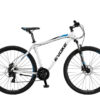 Evoke X-59CHD 29" Disc