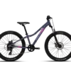 אופני ילדים Polygon Relic 24